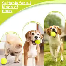Automatic Dog Ball Launcher – Interactive Fetch Toy for Dogs